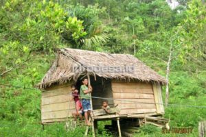 Kehidupan Masyarakat di Perkampungan pedalaman Sasake Banggai Kepulauan