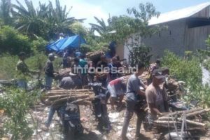 Budaya Gotong Royong Masyarakat Vatutela Palu