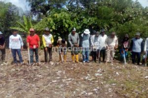 Dukungan Perbenihan Jagung di Desa Bulili Kecamatan Nokilalaki